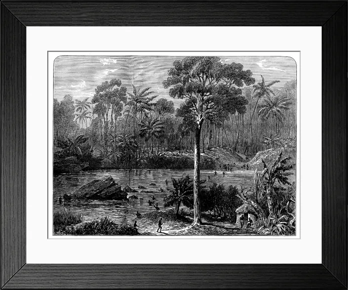 Framed Print : Ashantee Sketches: the River Prah and the Forest of Assin, 1873. Creator: Unknown