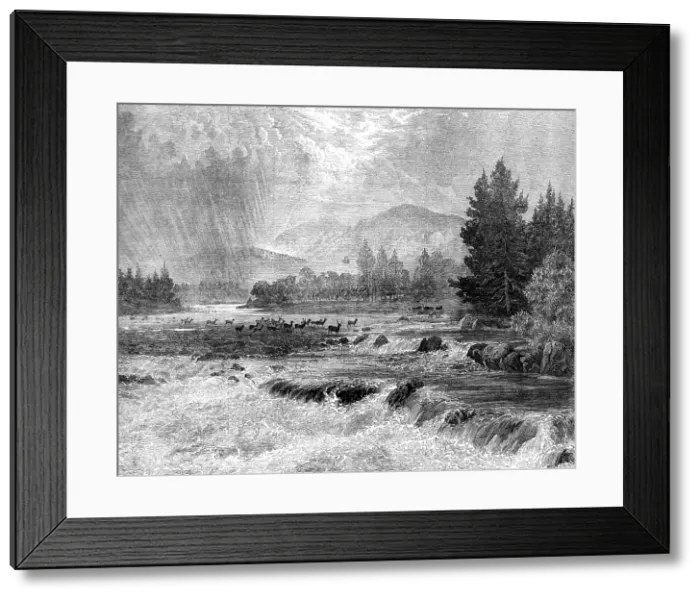Framed Print : Passing Showers - Forest of Glentanner, Aberdeenshire, by E. A. Waterlow, 1873. Creator: Unknown