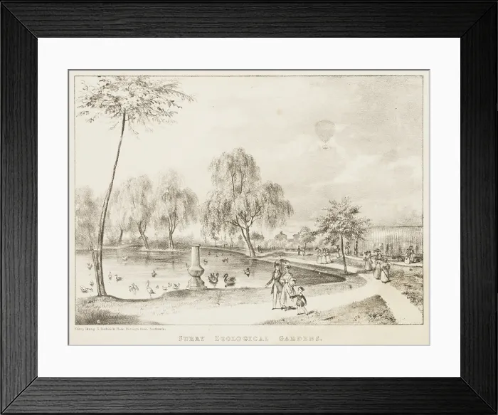 Framed Print : Surry Zoological Gardens, 1836. Creator: Unknown Framed Print : Surry Zoological Gardens, 1836. Creator: Unknown