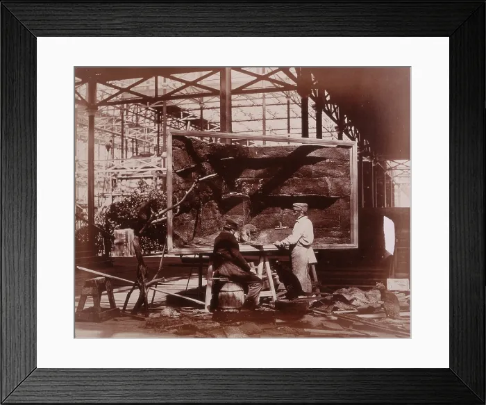 Framed Print : Preparing Case for Marine Objects, Crystal Palace, Sydenham, 1852-1854 Framed Print : Preparing Case for Marine Objects, Crystal Palace, Sydenham, 1852-1854