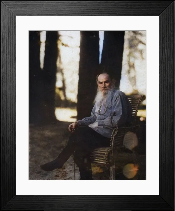 Framed Print : L.N. Tolstoi, in Iasnaia Poliana, 1908. Creator: Sergey Mikhaylovich Prokudin-Gorsky Framed Print : L.N. Tolstoi, in Iasnaia Poliana, 1908. Creator: Sergey Mikhaylovich Prokudin-Gorsky