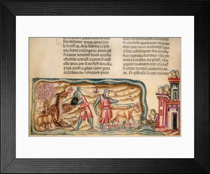 Framed Print : Jason in the Argo, yoking the oxen and slaying the dragon, 1340. Creator: Perrin Remy Framed Print : Jason in the Argo, yoking the oxen and slaying the dragon, 1340. Creator: Perrin Remy
