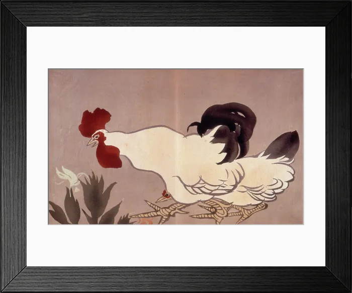 Framed Print : A cockerel. Creator: Anon Framed Print : A cockerel. Creator: Anon