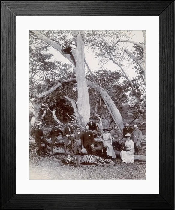 Framed Print : Lord and Lady Curzon and party posing with dead tiger, Nekonda, India, 1902. Creator: Unknown Framed Print : Lord and Lady Curzon and party posing with dead tiger, Nekonda, India, 1902. Creator: Unknown