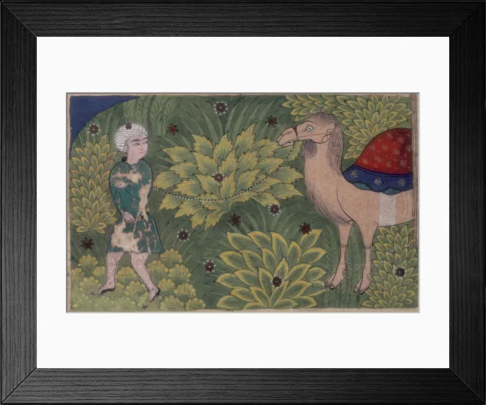 Framed Print : A man leading a camel, 16th century. Creator: Unknown Framed Print : A man leading a camel, 16th century. Creator: Unknown