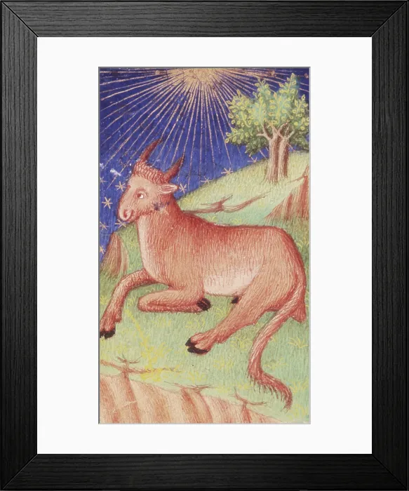 Framed Print : A bull lying down, 1423. Creator: Unknown Framed Print : A bull lying down, 1423. Creator: Unknown