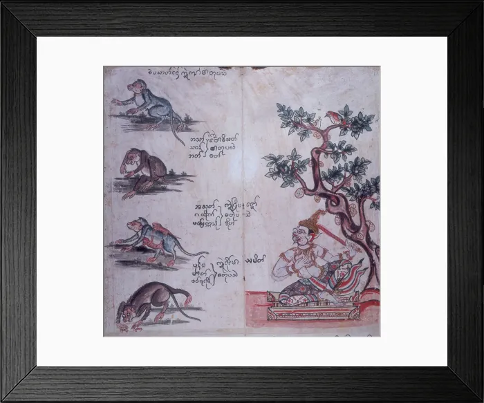 Framed Print : Monkeys and a Buddhist deity, c1700-c1820. Creator: Unknown Framed Print : Monkeys and a Buddhist deity, c1700-c1820. Creator: Unknown