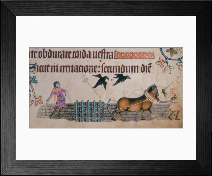 Framed Print : Two farm workers with a harrow, c1300-c1340. Creator: Unknown Framed Print : Two farm workers with a harrow, c1300-c1340. Creator: Unknown