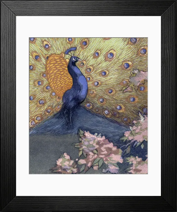 Framed Print : Peacock displaying its tail; scene from 'The Jungle Book', 1919. Creator: Paul Jouve Framed Print : Peacock displaying its tail; scene from 'The Jungle Book', 1919. Creator: Paul Jouve