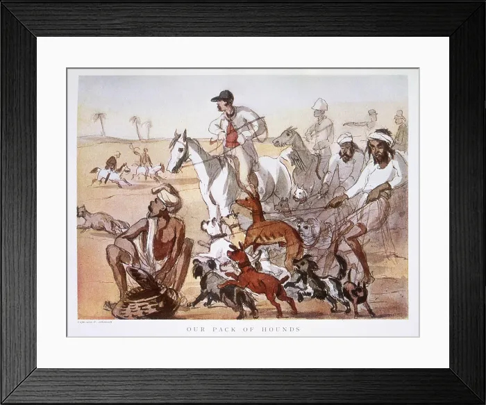 Framed Print : Our Pack of Hounds, 1911. Creator: George Francklin Atkinson. Our Pack of Hounds, 1911. Creator: George Francklin Atkinson Framed Print : Our Pack of Hounds, 1911. Creator: George Francklin Atkinson. Our Pack of Hounds, 1911. Creator: George Francklin Atkinson