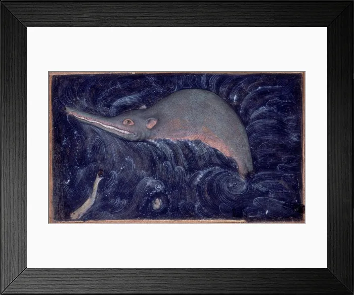 Framed Print : Ganges River Dolphin, 1590. Creator: Sarwan Framed Print : Ganges River Dolphin, 1590. Creator: Sarwan