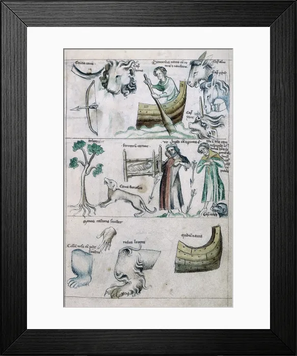 Framed Print : Leo; zodiac treatise, 14th century. Creator: Unknown Framed Print : Leo; zodiac treatise, 14th century. Creator: Unknown
