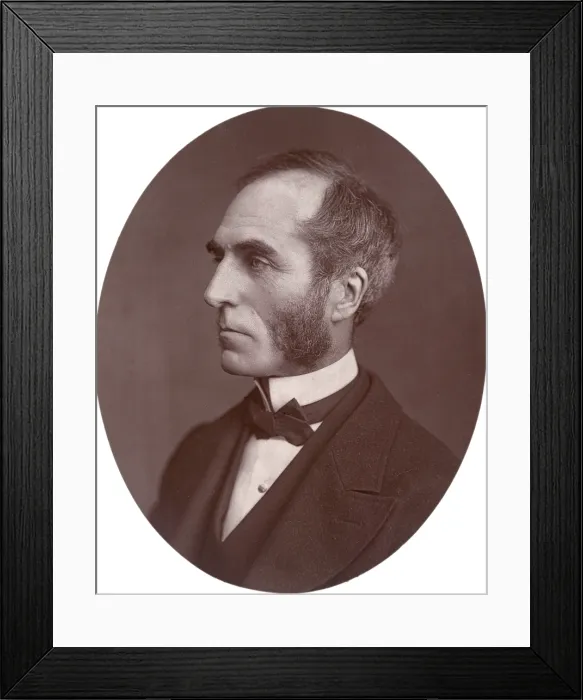 Framed Print : Goldwin Smith, Professor, 1878. Creator: Lock & Whitfield Framed Print : Goldwin Smith, Professor, 1878. Creator: Lock & Whitfield