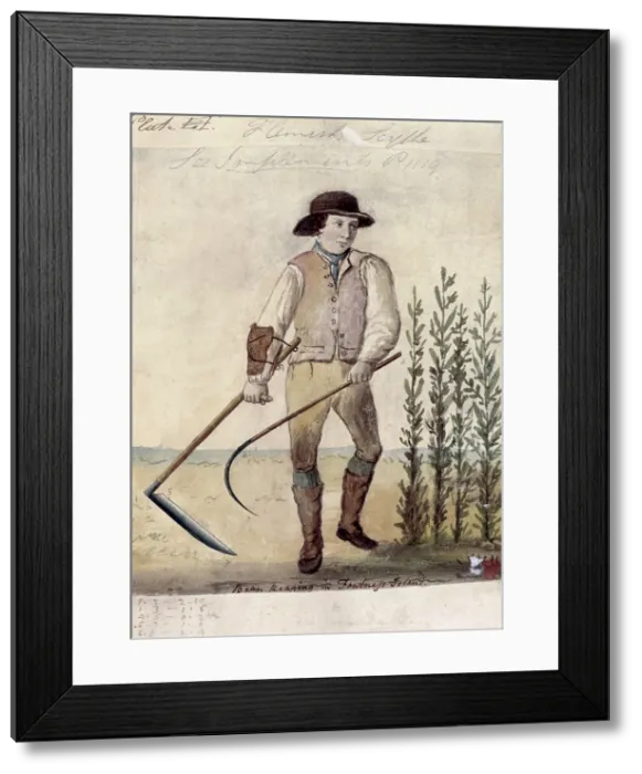 Framed Print : Farm worker using the Flemish scythe, c1808. Creator: Unknown Framed Print : Farm worker using the Flemish scythe, c1808. Creator: Unknown