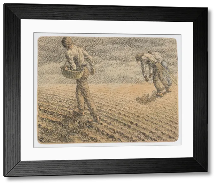 Framed Print : On the roll, around 1905. Creator: Ivan Zabota Framed Print : On the roll, around 1905. Creator: Ivan Zabota