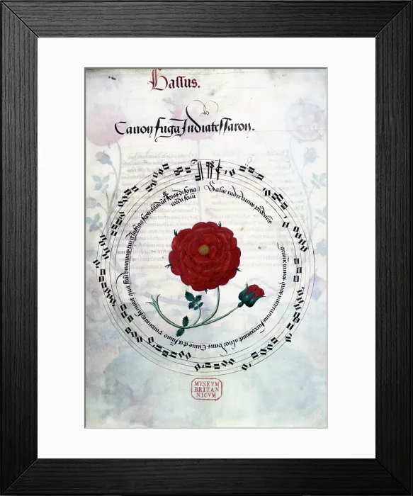 Framed Print : Musical canon with Tudor rose, c1509-c1547. Creator: Unknown Framed Print : Musical canon with Tudor rose, c1509-c1547. Creator: Unknown