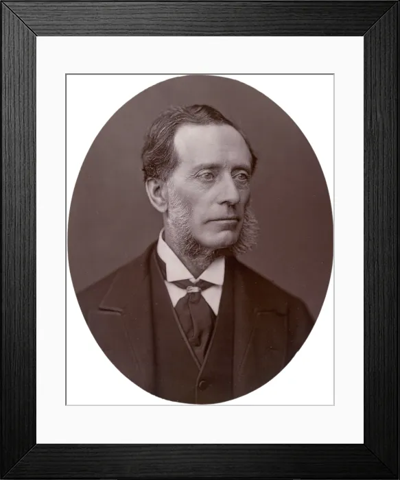 Framed Print : Sir Francis Leopold McClintock, admiral, 1878. Creator: Lock & Whitfield Framed Print : Sir Francis Leopold McClintock, admiral, 1878. Creator: Lock & Whitfield