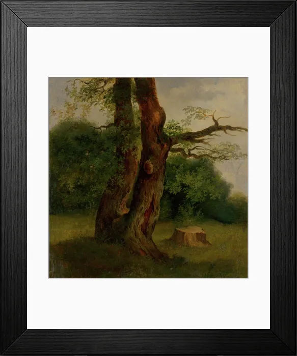 Framed Print : Study of a tree in leaf, 1860-1870. Creator: Jozef Bozetech Klemens Framed Print : Study of a tree in leaf, 1860-1870. Creator: Jozef Bozetech Klemens