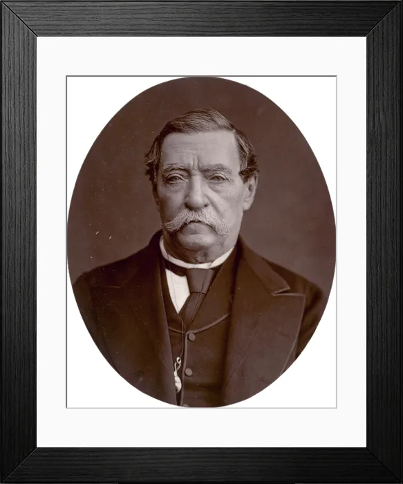 Framed Print : Lord Napier of Magdala, 1878. Creator: Lock & Whitfield Framed Print : Lord Napier of Magdala, 1878. Creator: Lock & Whitfield