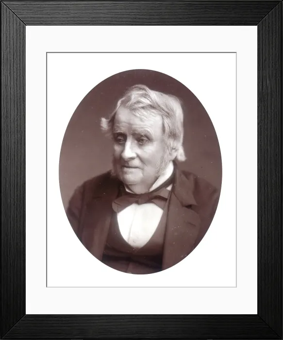 Framed Print : John Arthur Roebuck, MP, 1881. Creator: Lock & Whitfield Framed Print : John Arthur Roebuck, MP, 1881. Creator: Lock & Whitfield
