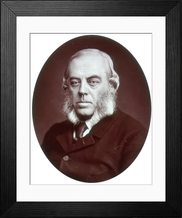 Framed Print : Duke of Malborough, Lord Lieutenant of Ireland, 1881. Creator: Lock & Whitfield Framed Print : Duke of Malborough, Lord Lieutenant of Ireland, 1881. Creator: Lock & Whitfield
