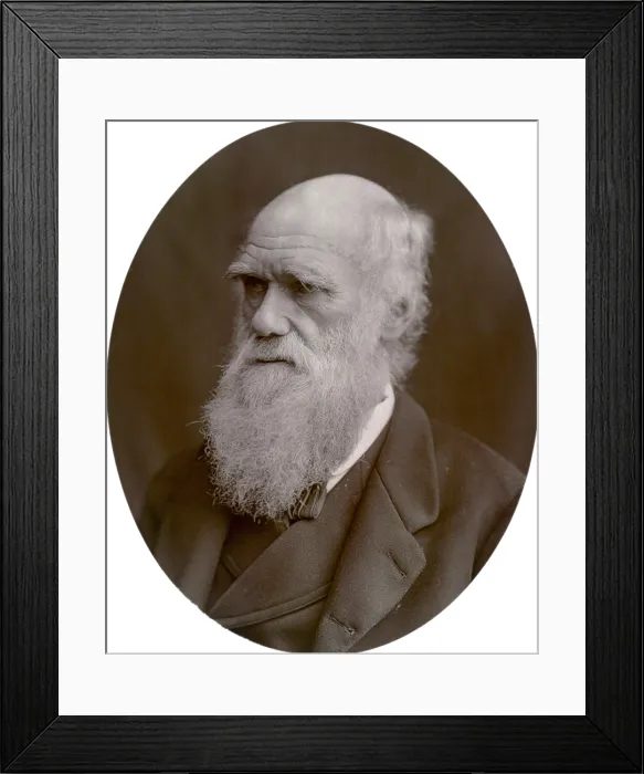 Framed Print : Charles Darwin, 1878. Creator: Lock & Whitfield Framed Print : Charles Darwin, 1878. Creator: Lock & Whitfield