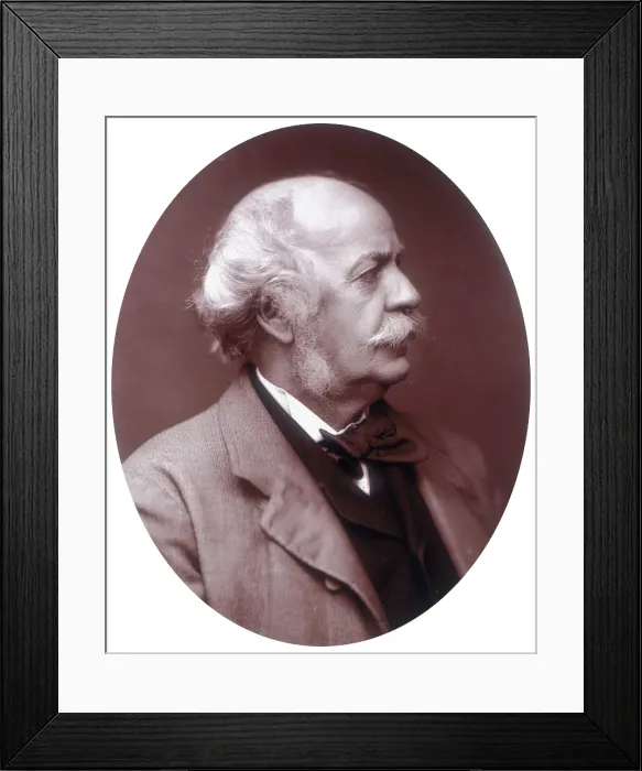 Framed Print : Sir Henry Creswicke Rawlinson, British soldier and orientalist, 1882. Creator: Lock & Whitfield Framed Print : Sir Henry Creswicke Rawlinson, British soldier and orientalist, 1882. Creator: Lock & Whitfield