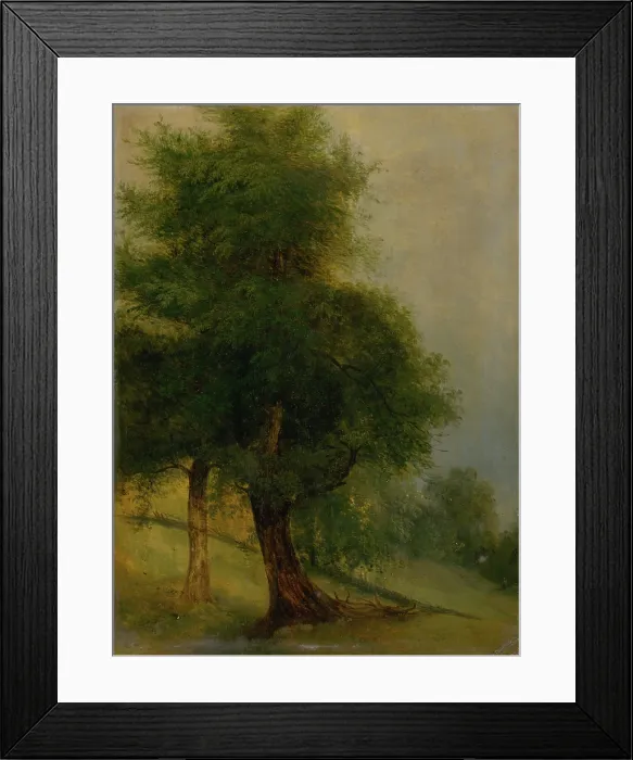 Framed Print : Trees on a slope, 1870-1880. Creator: Jozef Bozetech Klemens Framed Print : Trees on a slope, 1870-1880. Creator: Jozef Bozetech Klemens
