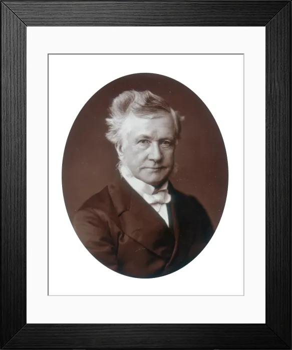 Framed Print : Sir Robert Lush, Judge of the High Court of Justice, 1881. Creator: Lock & Whitfield Framed Print : Sir Robert Lush, Judge of the High Court of Justice, 1881. Creator: Lock & Whitfield