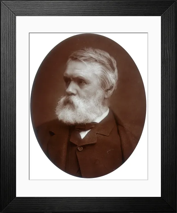 Framed Print : Tom Taylor, dramatist and critic, 1881. Creator: Lock & Whitfield Framed Print : Tom Taylor, dramatist and critic, 1881. Creator: Lock & Whitfield