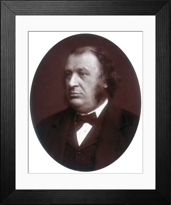 Framed Print : Sir James Fitzjames Stephen, Judge of the High Court of Justice, 1882. Creator: Lock & Whitfield Framed Print : Sir James Fitzjames Stephen, Judge of the High Court of Justice, 1882. Creator: Lock & Whitfield