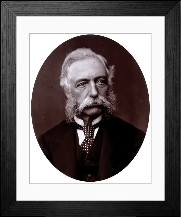 Framed Print : General Sir Daniel Lysons, 1882. Creator: Lock & Whitfield Framed Print : General Sir Daniel Lysons, 1882. Creator: Lock & Whitfield