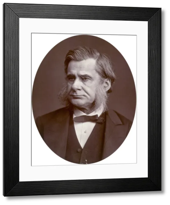 Framed Print : Professor Thomas Henry Huxley, 1880. Creator: Lock & Whitfield Framed Print : Professor Thomas Henry Huxley, 1880. Creator: Lock & Whitfield