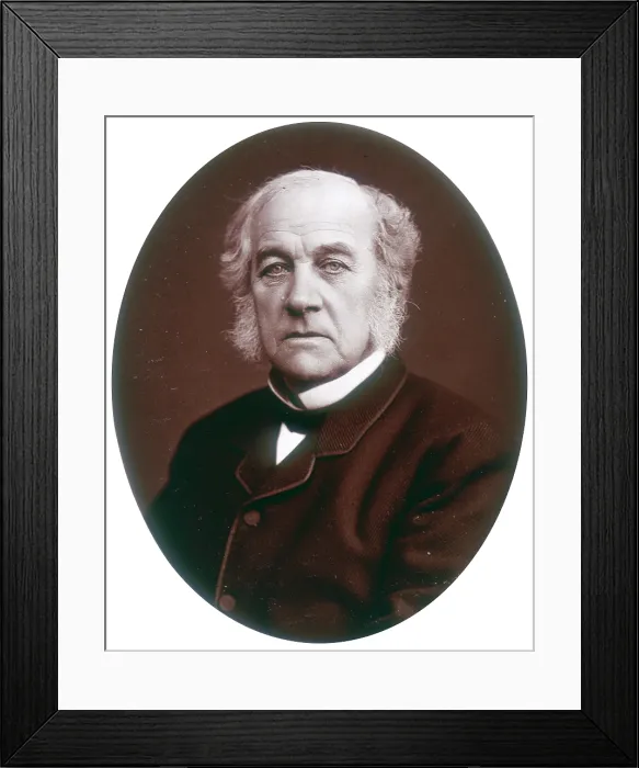 Framed Print : Samuel Morley, MP, industrialist and politician, 1882. Creator: Lock & Whitfield Framed Print : Samuel Morley, MP, industrialist and politician, 1882. Creator: Lock & Whitfield