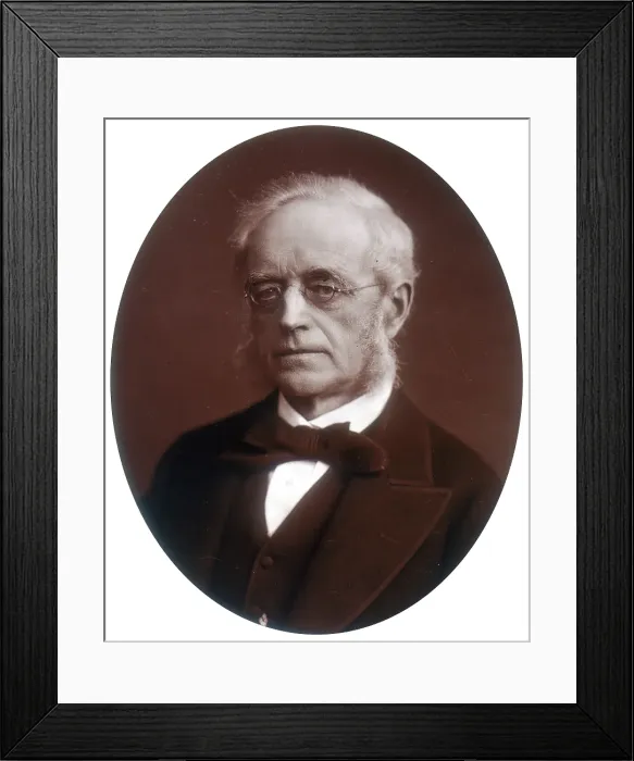 Framed Print : Sir Henry Cotton, Lord Justice of Appeal, 1881. Creator: Lock & Whitfield Framed Print : Sir Henry Cotton, Lord Justice of Appeal, 1881. Creator: Lock & Whitfield