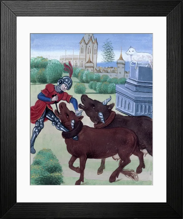Framed Print : Jason yokes the oxen in his attempt to acquire the Golden Fleece, late 15th century. Creator: Unknown Framed Print : Jason yokes the oxen in his attempt to acquire the Golden Fleece, late 15th century. Creator: Unknown