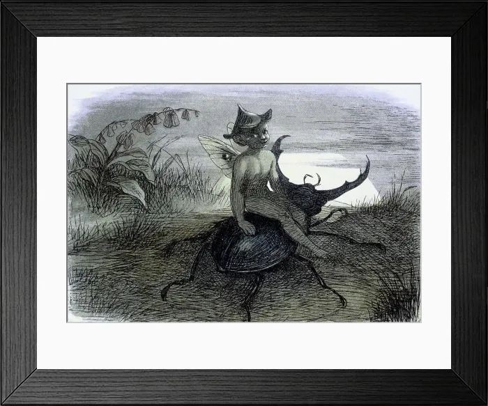 Framed Print : Water lilies and water fairies of the period, c1869-c1870. Creator: Richard Doyle. Water lilies and water fairies of the period, c1869-c1870. Creator: Richard Doyle Framed Print : Water lilies and water fairies of the period, c1869-c1870. Creator: Richard Doyle. Water lilies and water fairies of the period, c1869-c1870. Creator: Richard Doyle