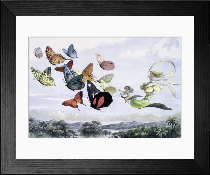 Framed Print : Water lilies and water fairies of the period, c1869-c1870. Creator: Richard Doyle. Water lilies and water fairies of the period, c1869-c1870. Creator: Richard Doyle Framed Print : Water lilies and water fairies of the period, c1869-c1870. Creator: Richard Doyle. Water lilies and water fairies of the period, c1869-c1870. Creator: Richard Doyle