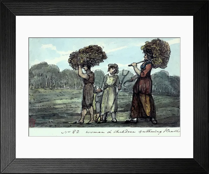 Framed Print : Women and Children Gathering Heath, near Basingstoke, Hampshire, 1821. Creator: John Skinner. Women and Children Gathering Heath, near Basingstoke, Hampshire, 1821 Framed Print : Women and Children Gathering Heath, near Basingstoke, Hampshire, 1821. Creator: John Skinner. Women and Children Gathering Heath, near Basingstoke, Hampshire, 1821