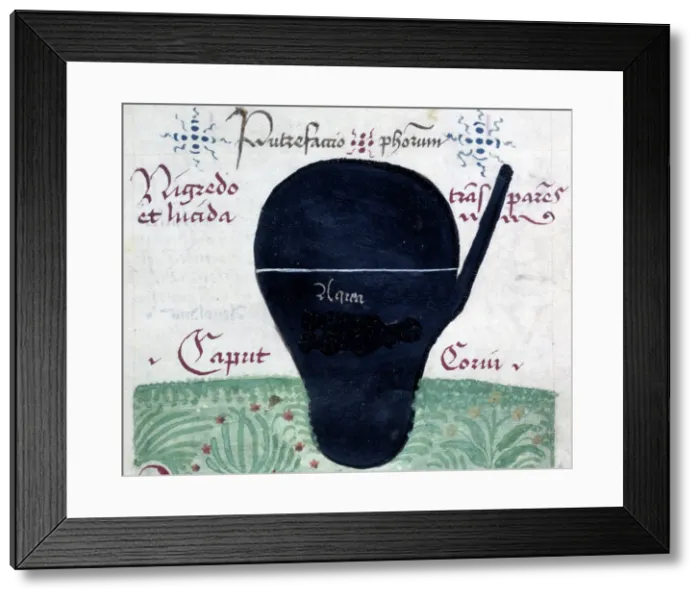 Framed Print : Putrefactio philosophorum (The putrefaction of the philosophers), late 13th century. Creator: Arnold of Villanova Framed Print : Putrefactio philosophorum (The putrefaction of the philosophers), late 13th century. Creator: Arnold of Villanova