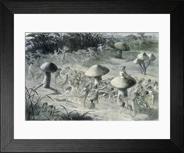 Framed Print : Water lilies and water fairies of the period, c1869-c1870. Creator: Richard Doyle. Water lilies and water fairies of the period, c1869-c1870. Creator: Richard Doyle Framed Print : Water lilies and water fairies of the period, c1869-c1870. Creator: Richard Doyle. Water lilies and water fairies of the period, c1869-c1870. Creator: Richard Doyle