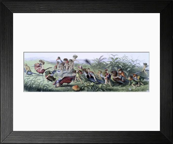 Framed Print : Water lilies and water fairies of the period, c1869-c1870. Creator: Richard Doyle. Water lilies and water fairies of the period, c1869-c1870. Creator: Richard Doyle Framed Print : Water lilies and water fairies of the period, c1869-c1870. Creator: Richard Doyle. Water lilies and water fairies of the period, c1869-c1870. Creator: Richard Doyle