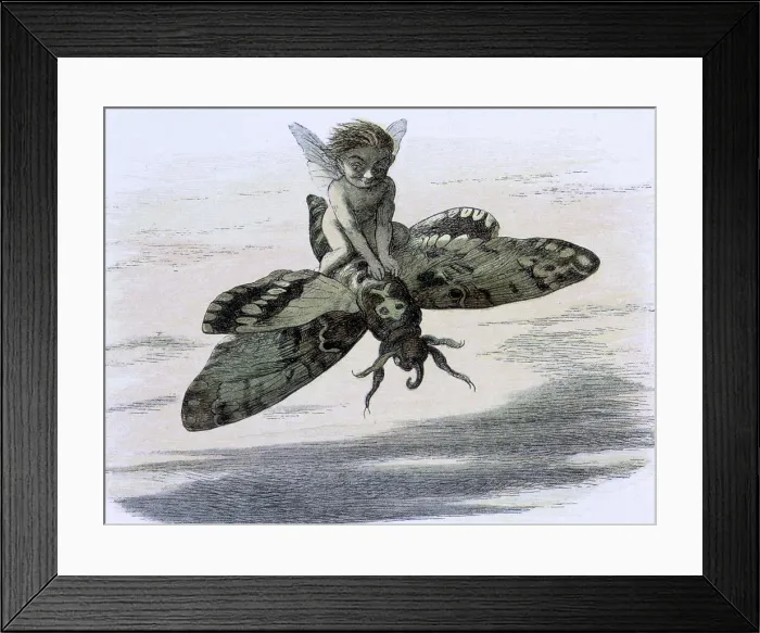 Framed Print : Water lilies and water fairies of the period, c1869-c1870. Creator: Richard Doyle. Water lilies and water fairies of the period, c1869-c1870. Creator: Richard Doyle Framed Print : Water lilies and water fairies of the period, c1869-c1870. Creator: Richard Doyle. Water lilies and water fairies of the period, c1869-c1870. Creator: Richard Doyle