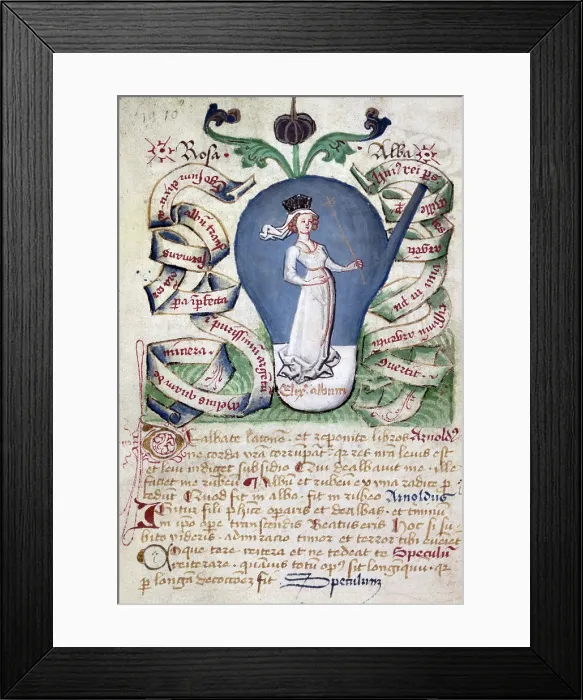 Framed Print : The stage of the white elixir, a queen or Rosa alba (the white rose), 15th century. Creator: Unknown Framed Print : The stage of the white elixir, a queen or Rosa alba (the white rose), 15th century. Creator: Unknown