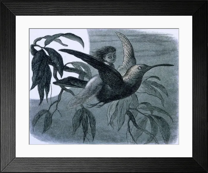 Framed Print : Water lilies and water fairies of the period, c1869-c1870. Creator: Richard Doyle. Water lilies and water fairies of the period, c1869-c1870. Creator: Richard Doyle Framed Print : Water lilies and water fairies of the period, c1869-c1870. Creator: Richard Doyle. Water lilies and water fairies of the period, c1869-c1870. Creator: Richard Doyle