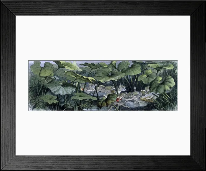 Framed Print : Water lilies and water fairies of the period, c1869-c1870. Creator: Richard Doyle. Water lilies and water fairies of the period, c1869-c1870. Creator: Richard Doyle Framed Print : Water lilies and water fairies of the period, c1869-c1870. Creator: Richard Doyle. Water lilies and water fairies of the period, c1869-c1870. Creator: Richard Doyle