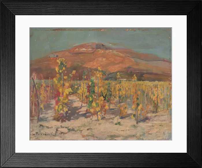 Framed Print : Vineyards at the foot of Mount Zobor, 1930-1940. Creator: Karol Pongracz Framed Print : Vineyards at the foot of Mount Zobor, 1930-1940. Creator: Karol Pongracz