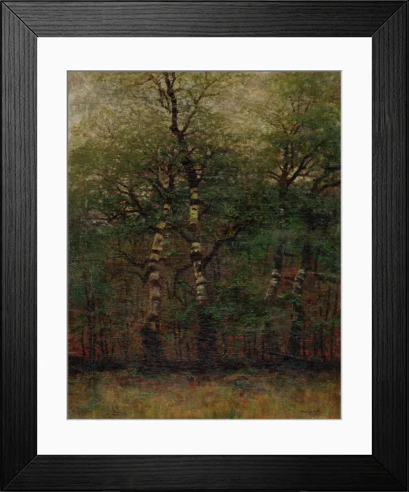 Framed Print : Inside of Birch Forest, 1900-1910. Creator: Ladislav Mednyanszky Framed Print : Inside of Birch Forest, 1900-1910. Creator: Ladislav Mednyanszky