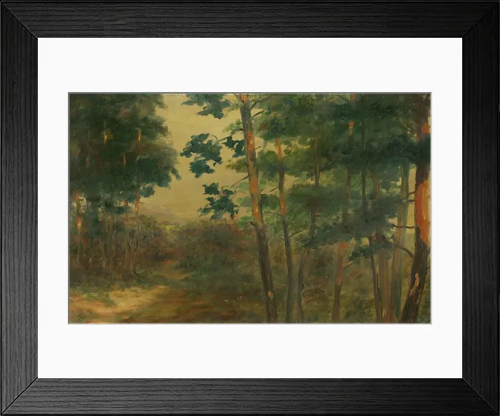 Framed Print : Forest view, 1902-1908. Creator: Elemir Halasz-Hradil Framed Print : Forest view, 1902-1908. Creator: Elemir Halasz-Hradil