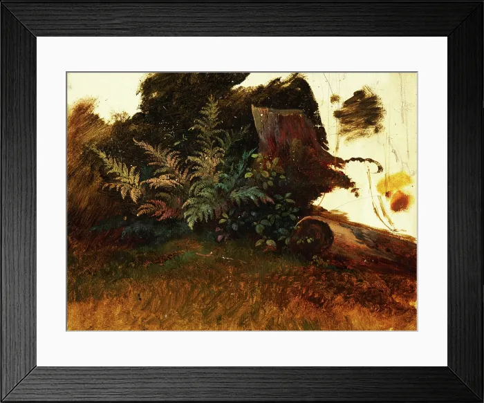 Framed Print : Mountain vegetation, 1860-1890. Creator: Friedrich Carl von Scheidlin